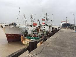 Haalbaarheidsstudie veilingshal