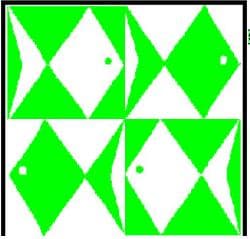 Officiële oprichting van Cevihas